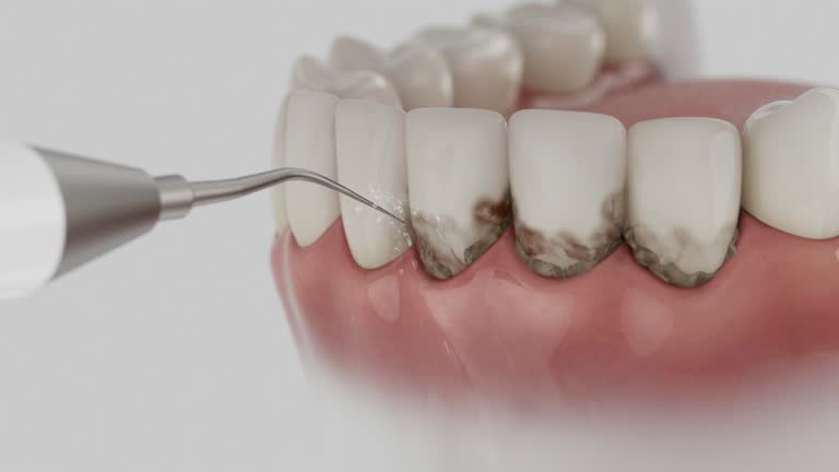 Reliable Dental contractor in Fayetteville, AL by Dentist Open Now